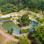 Jardim Botânico celebra 41 anos&hellip;