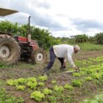 Na AgroBrasília, ETR comemora três&hellip;