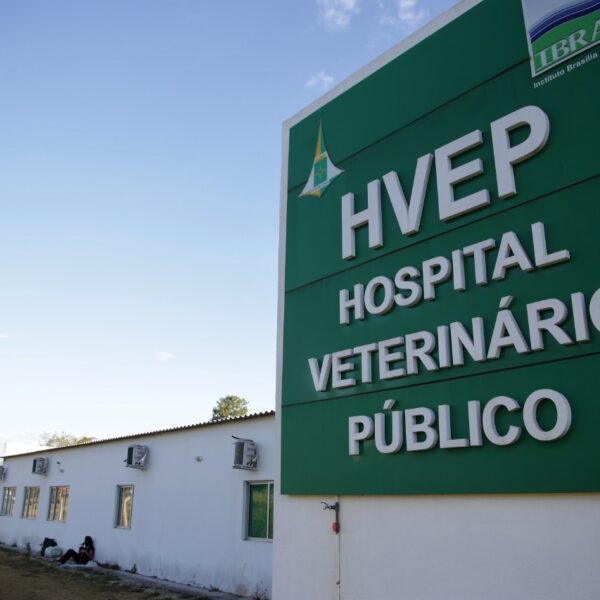 Aberto chamamento público para gestão do Serviço Veterinário Público do DF
