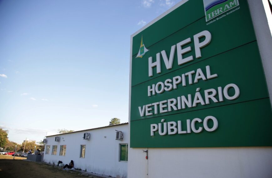 Aberto chamamento público para gestão do Serviço Veterinário Público do DF