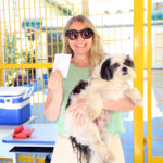 Vacinação de cães e gatos&hellip;