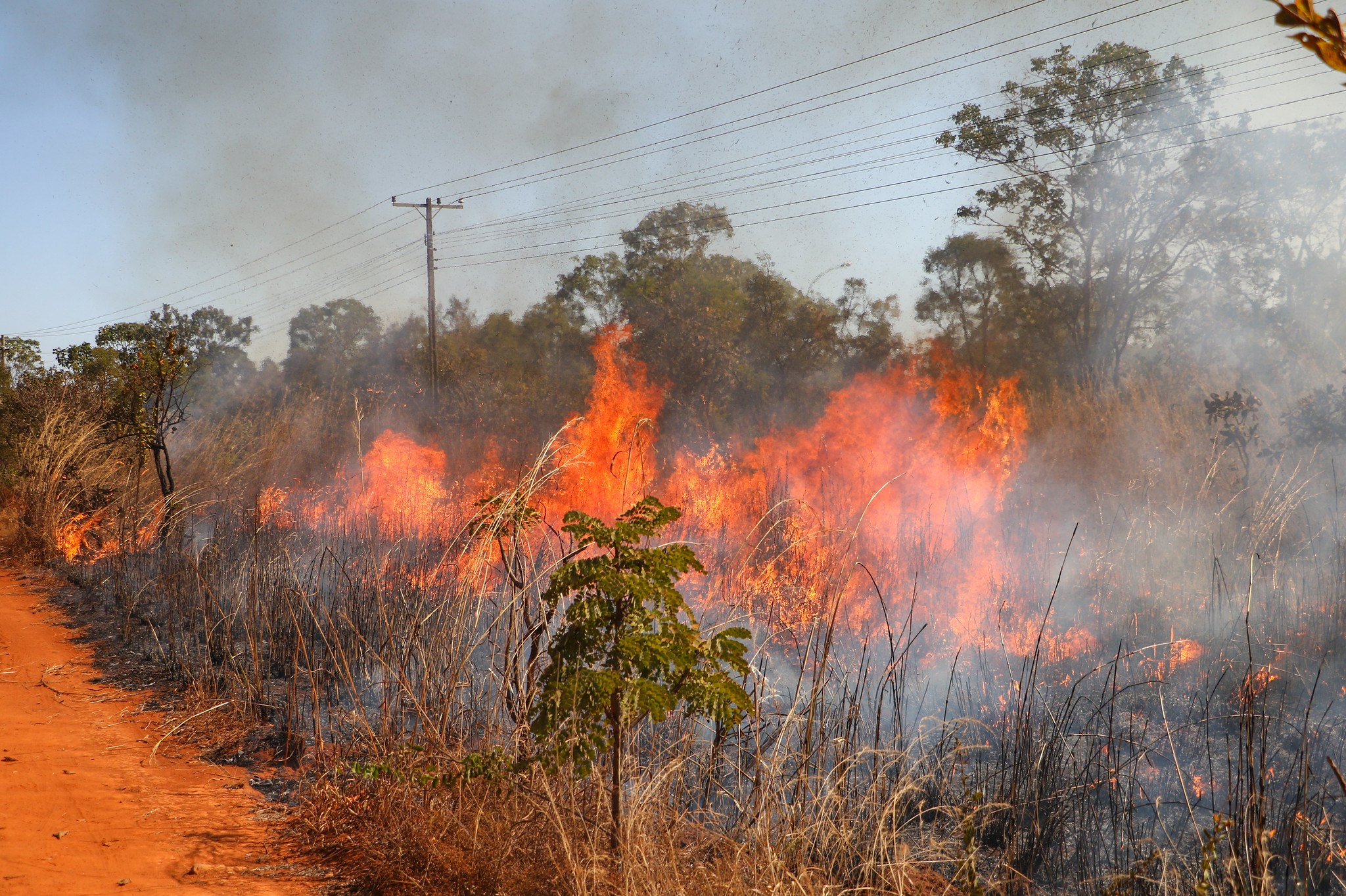 Saiba como agir caso um incêndio&hellip;